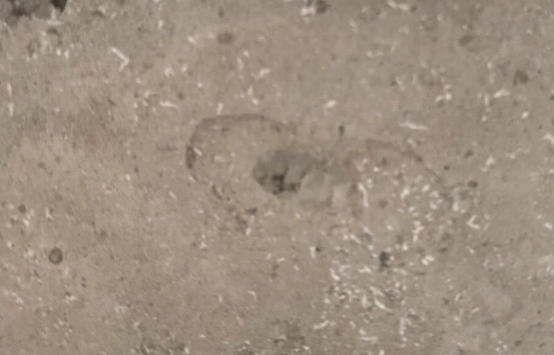 Jura Marmor grau Naturstein für Grabmale