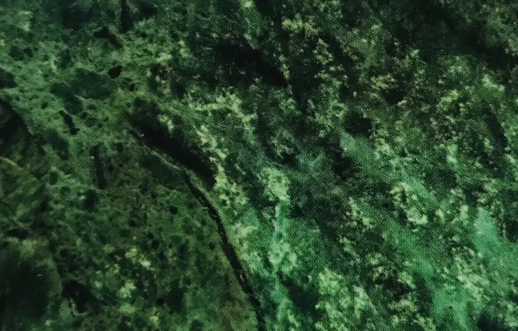 Verde Guatemala grüner Marmor Naturstein